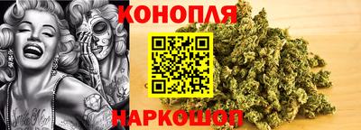 сатива Будённовск