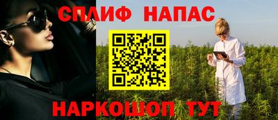 сатива Будённовск