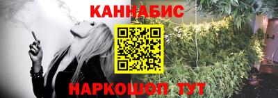 сатива Будённовск