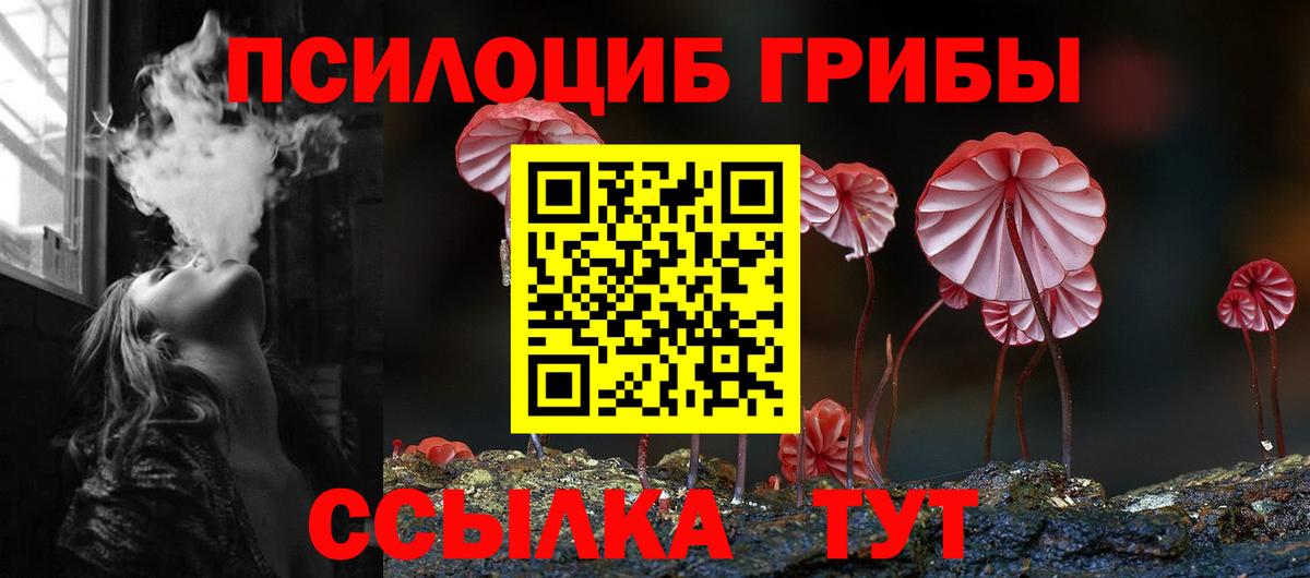 Дзержинск  купить   Вход с VPN  Галлюциногенные грибы Cubensis 