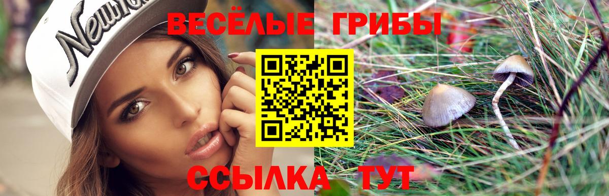 Галлюциногенные грибы Psilocybine cubensis Дзержинск